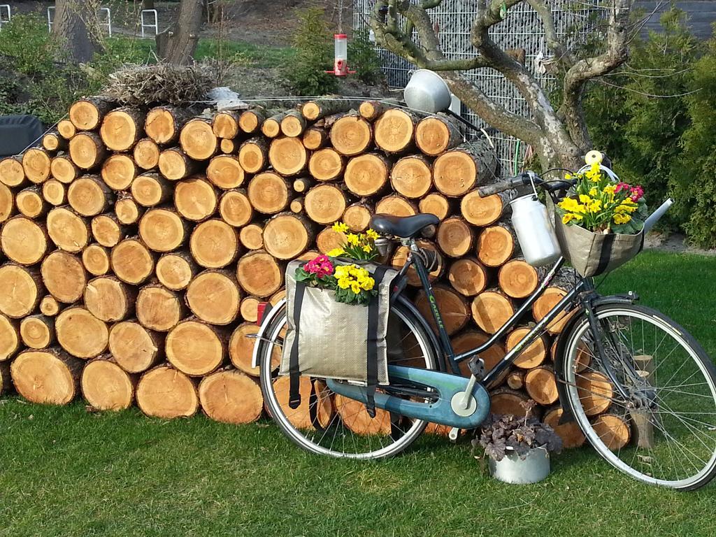 Appartamento Ferienhaus Emstal In Oberlangen Lathen Esterno foto