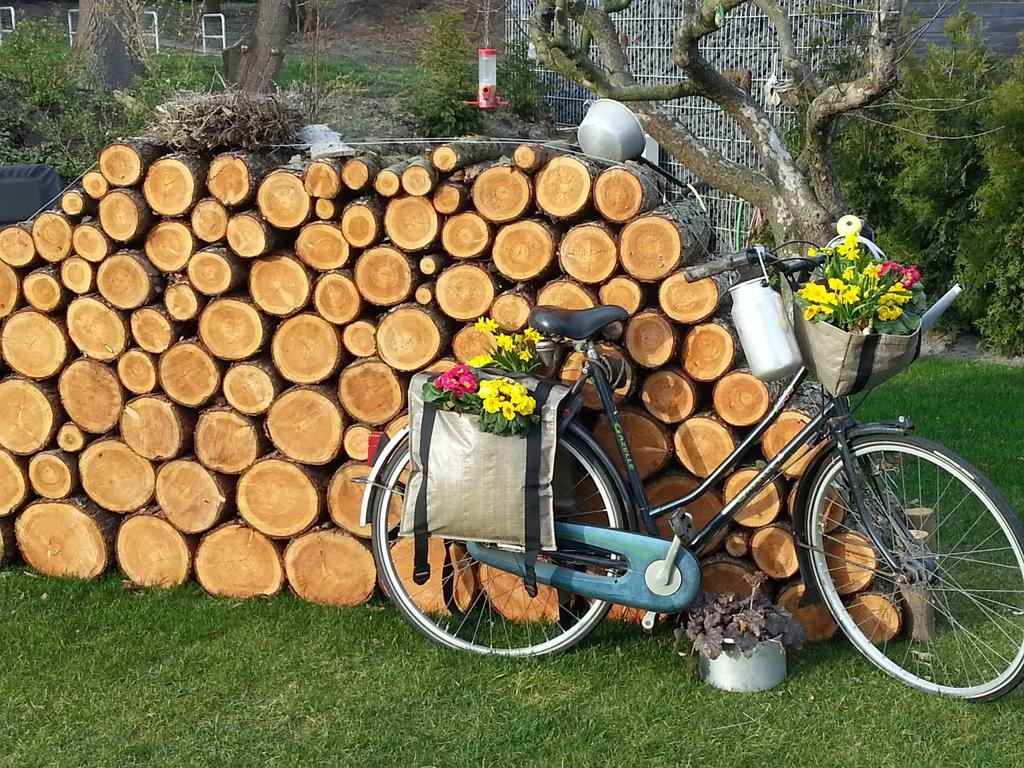 Ferienhaus Emstal In Oberlangen Lathen Esterno foto